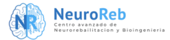 Neuroreb